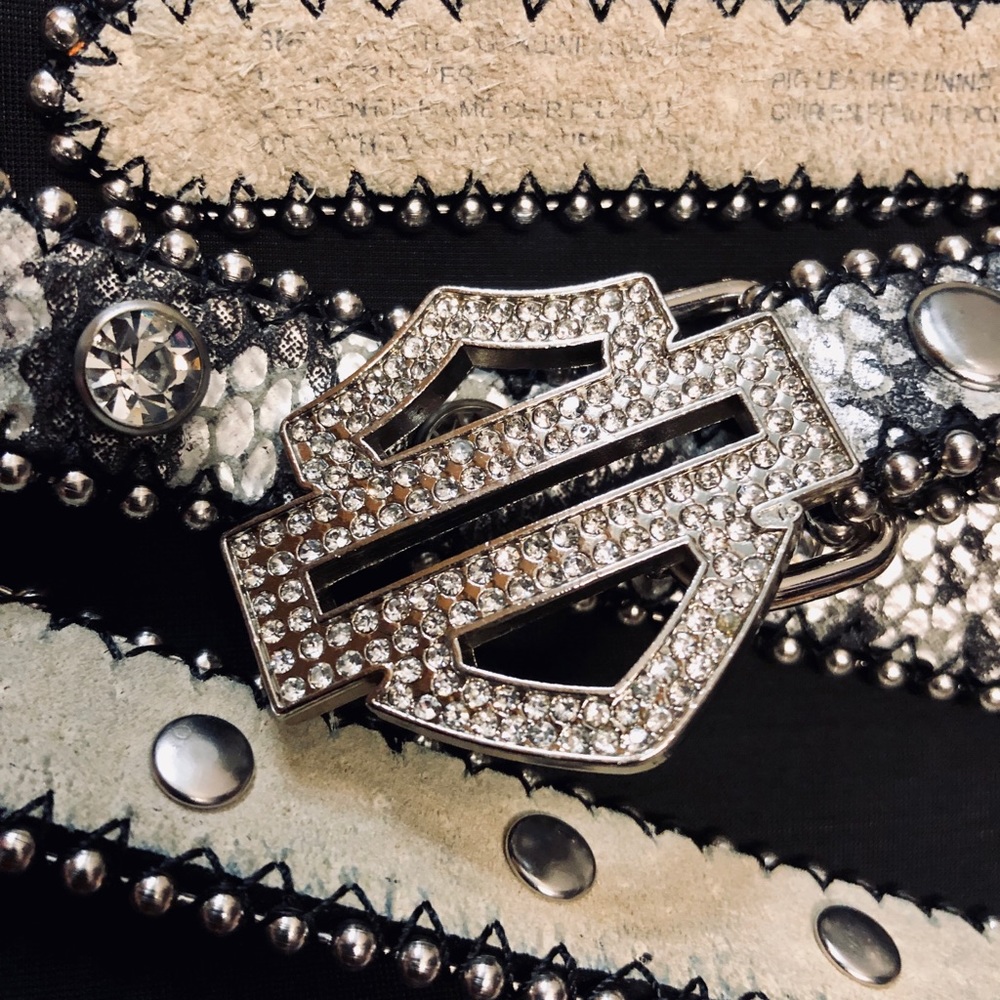 HD Iridescent black & silver snake skin belt